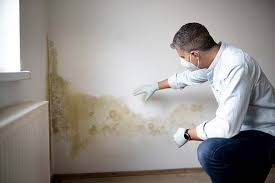 Best Mold Removal for HVAC Installations in USA